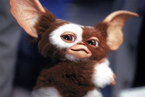 gremlins gif|gremlin cartoon gif.